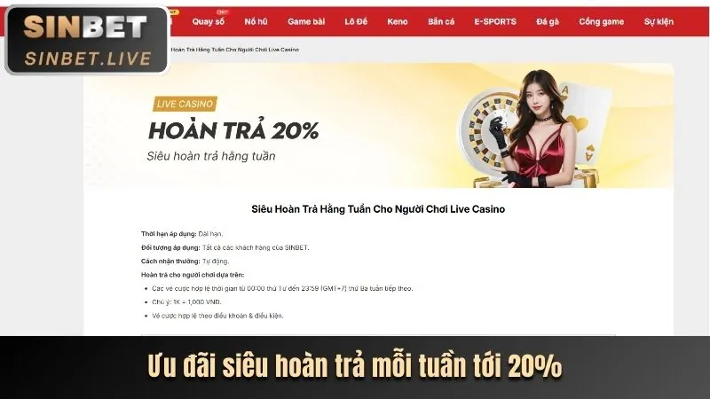 Các loại cookie được gacam67 khuyến mãi sử dụng